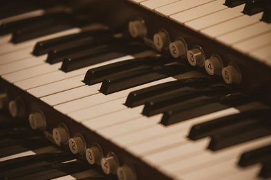 Orgel - Copyright: Rafik wahba / unsplash