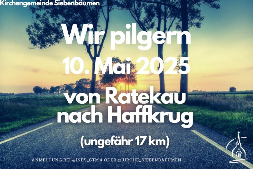 Straße, Bäume - Copyright: Andrea Kloke